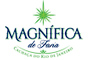 Magnífica de Faria